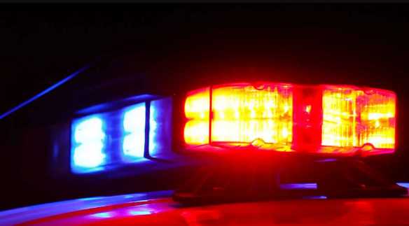Bianca Davis Homewood IL Shooting Death, Obituary - In Loving Memory Of Bianca Davis